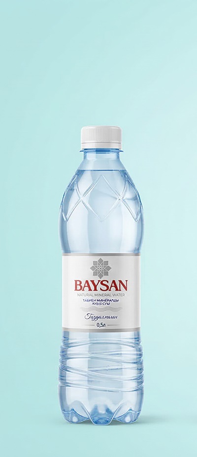 BAYSAN 0.5 л без газа
