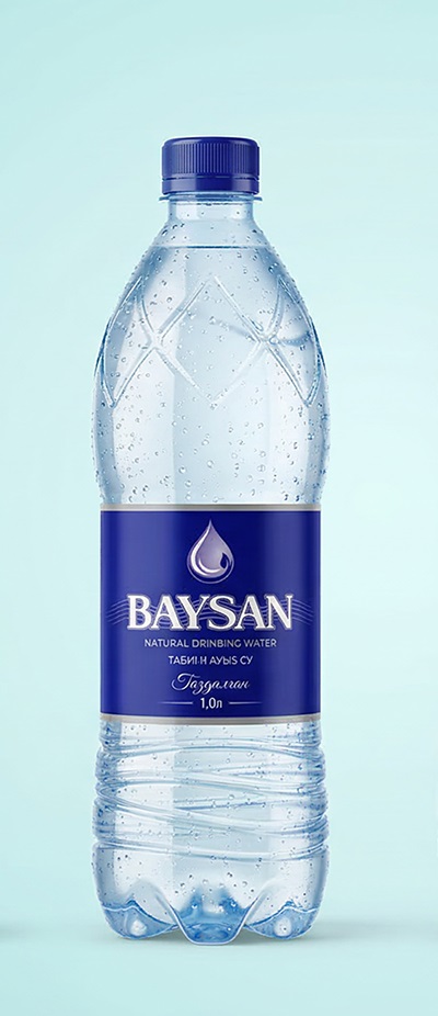 BAYSAN 1.0 л с газом